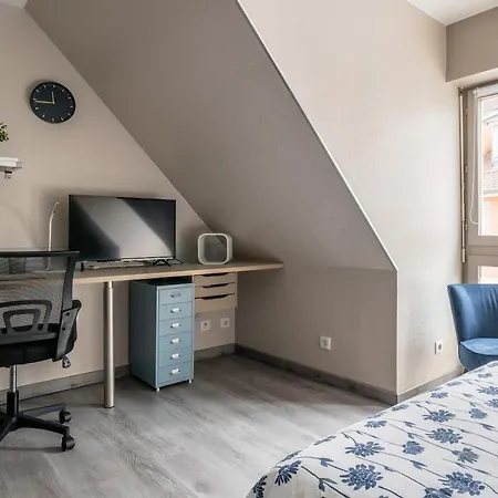 Centre Historique, Place De La Reunion 公寓